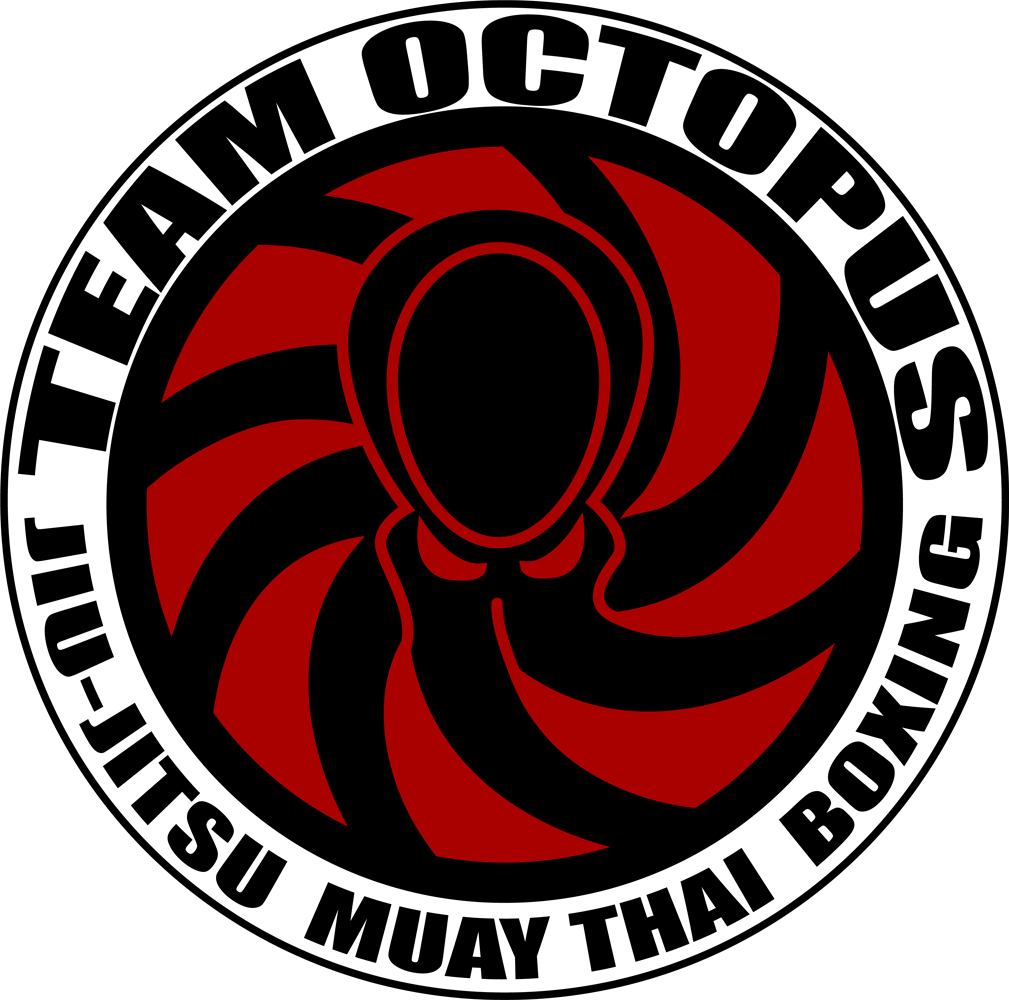 team octopus logo